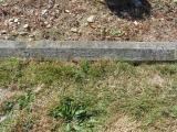 image of grave number 582946